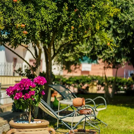 住宿加早餐酒店 Prochytea