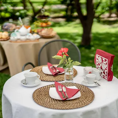 Prochytea 4* 普罗奇达