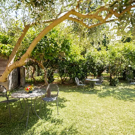 Bed & Breakfast Prochytea