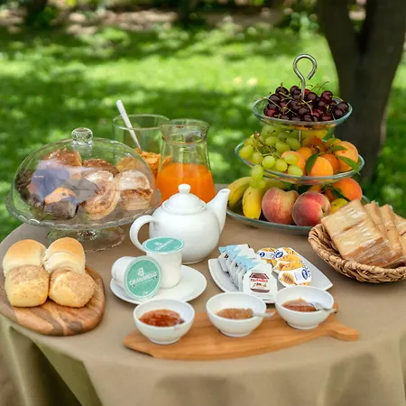 Prochytea 普罗奇达