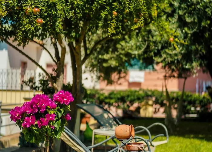 Alojamento de Acomodação e Pequeno-almoço Prochytea