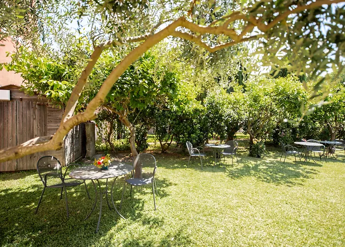 Alojamento de Acomodação e Pequeno-almoço Prochytea